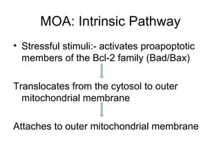 MOA: Intrinsic Pathway
• Stressful stimuli:- activates proapoptotic
members of the Bcl-2 family (Bad/Bax)
Translocates from the cytosol to outer
mitochondrial membrane
Attaches to outer mitochondrial membrane
 