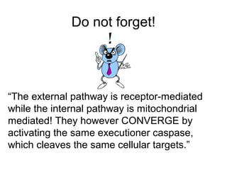 Do not forget!
“The external pathway is receptor-mediated
while the internal pathway is mitochondrial
mediated! They however CONVERGE by
activating the same executioner caspase,
which cleaves the same cellular targets.”
 