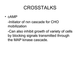 CROSSTALKS
• cAMP
-Initiator of rxn cascade for CHO
mobilization
-Can also inhibit growth of variety of cells
by blocking signals transmitted through
the MAP kinase cascade.
 