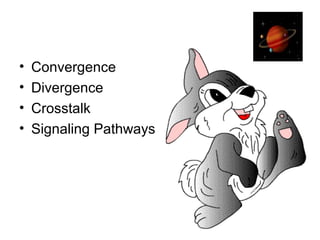 • Convergence
• Divergence
• Crosstalk
• Signaling Pathways
 