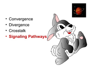 • Convergence
• Divergence
• Crosstalk
• Signaling Pathways
 
