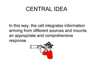 CENTRAL IDEA
In this way, the cell integrates information
arriving from different sources and mounts
an appropriate and comprehensive
response
 