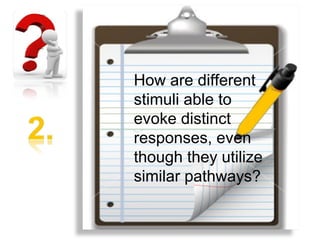How are different
stimuli able to
evoke distinct
responses, even
though they utilize
similar pathways?
 