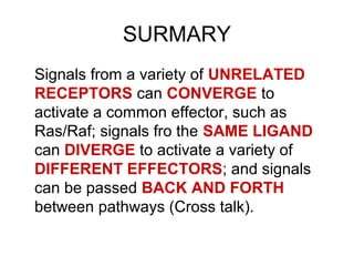 SURMARY
Signals from a variety of UNRELATED
RECEPTORS can CONVERGE to
activate a common effector, such as
Ras/Raf; signals fro the SAME LIGAND
can DIVERGE to activate a variety of
DIFFERENT EFFECTORS; and signals
can be passed BACK AND FORTH
between pathways (Cross talk).
 