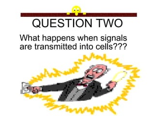 What happens when signals
are transmitted into cells???
QUESTION TWO
 
