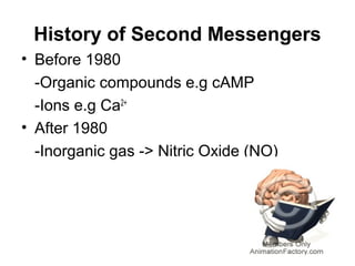 History of Second Messengers
• Before 1980
-Organic compounds e.g cAMP
-Ions e.g Ca2+
• After 1980
-Inorganic gas -> Nitric Oxide (NO)
 