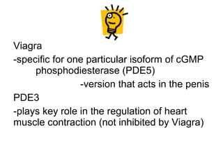 Viagra
-specific for one particular isoform of cGMP
phosphodiesterase (PDE5)
-version that acts in the penis
PDE3
-plays key role in the regulation of heart
muscle contraction (not inhibited by Viagra)
 