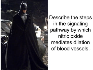 Describe the steps
in the signaling
pathway by which
nitric oxide
mediates dilation
of blood vessels.
 