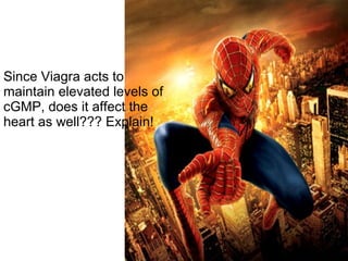 Since Viagra acts to
maintain elevated levels of
cGMP, does it affect the
heart as well??? Explain!
 
