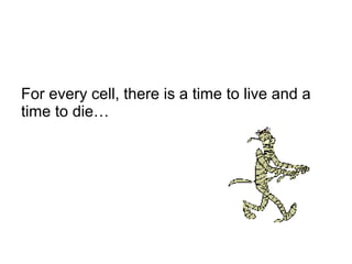 For every cell, there is a time to live and a
time to die…
 