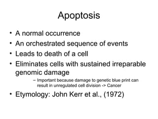 Apoptosis
• A normal occurrence
• An orchestrated sequence of events
• Leads to death of a cell
• Eliminates cells with sustained irreparable
genomic damage
– Important because damage to genetic blue print can
result in unregulated cell division -> Cancer
• Etymology: John Kerr et al., (1972)
 