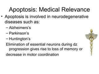Apoptosis: Medical Relevance
• Apoptosis is involved in neurodegenerative
diseases such as:
– Alzheimers’s
– Parkinson’s
– Huntington’s
Elimination of essential neurons during dz
progression gives rise to loss of memory or
decrease in motor coordination
 