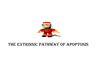 The exTrinsic PaThway of aPoPTosis
 