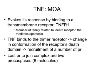 TNF: MOA
• Evokes its response by binding to a
transmembrane receptor, TNFR1
• Member of family related to ‘death receptor’ that
mediates apoptosis
• TNF binds to the trimer receptor -> change
in conformation of the receptor’s death
domain -> recruitment of a number of pr
• Last pr to join complex are two
procaspases (8 molecules)
 