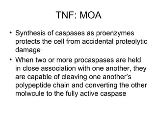 TNF: MOA
• Synthesis of caspases as proenzymes
protects the cell from accidental proteolytic
damage
• When two or more procaspases are held
in close association with one another, they
are capable of cleaving one another’s
polypeptide chain and converting the other
molwcule to the fully active caspase
 