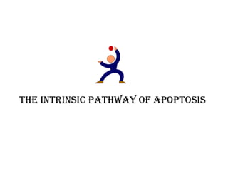 The inTrinsic PaThway of aPoPTosis
 