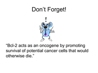 Don’t Forget!
“Bcl-2 acts as an oncogene by promoting
survival of potential cancer cells that would
otherwise die.”
 