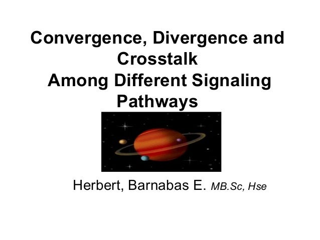 convergence and divergence As its name implies, the macd is all about the convergence and divergence of the two moving averages convergence occurs when the moving averages move towards each other. convergence and divergence As its name implies, the macd is all about the convergence and divergence of the two moving averages convergence occurs when the moving averages move towards each other.