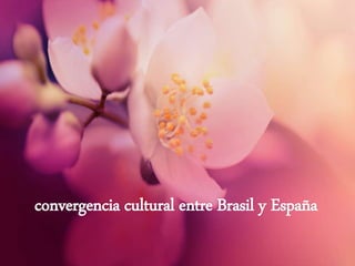 convergencia cultural entre Brasil y España
 