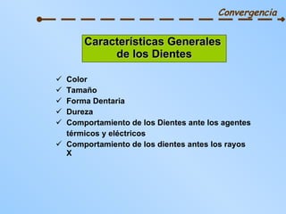 Características Generales  de los Dientes Color Tamaño Forma Dentaria Dureza Comportamiento de los Dientes ante los agentes  térmicos y eléctricos Comportamiento de los dientes antes los rayos X Convergencia 