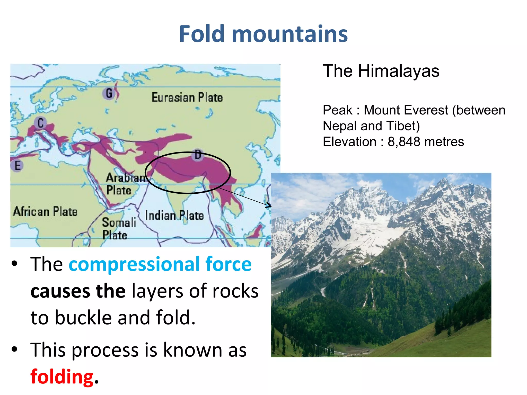 Fold mountains
The Himalayas
Peak : Mount Everest (between
Nepal and Tibet)
Elevation : 8,848 metres
• The compressional force
causes the layers of rocks
to buckle and fold.
• This process is known as
folding.
 