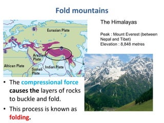 Fold mountains
The Himalayas
Peak : Mount Everest (between
Nepal and Tibet)
Elevation : 8,848 metres
• The compressional force
causes the layers of rocks
to buckle and fold.
• This process is known as
folding.
 