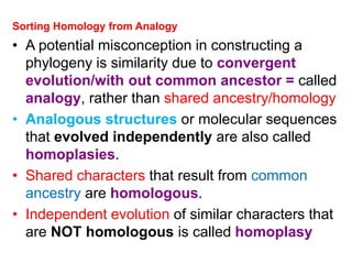 Sorting Homology from Analogy
• A potential misconception in constructing a
phylogeny is similarity due to convergent
evolution/with out common ancestor = called
analogy, rather than shared ancestry/homology
• Analogous structures or molecular sequences
that evolved independently are also called
homoplasies.
• Shared characters that result from common
ancestry are homologous.
• Independent evolution of similar characters that
are NOT homologous is called homoplasy
 