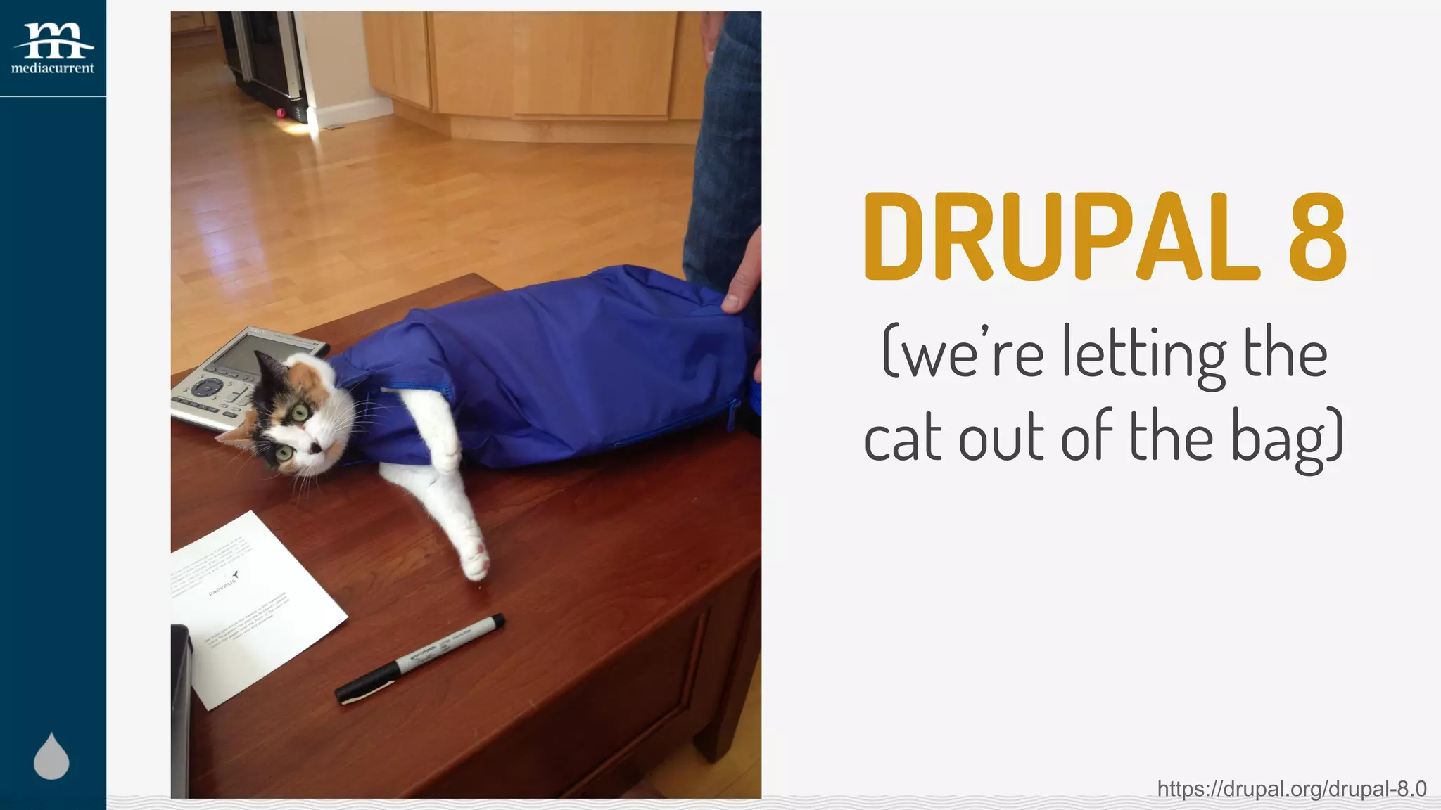 DRUPAL 8
(we’re letting the
cat out of the bag)
https://drupal.org/drupal-8.0
 