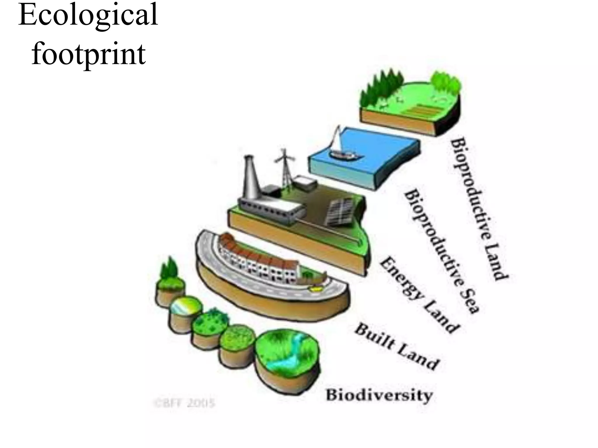 Ecological
 footprint
 