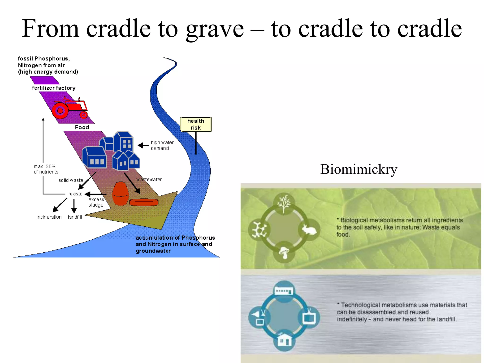 From cradle to grave – to cradle to cradle




                            Biomimickry
 