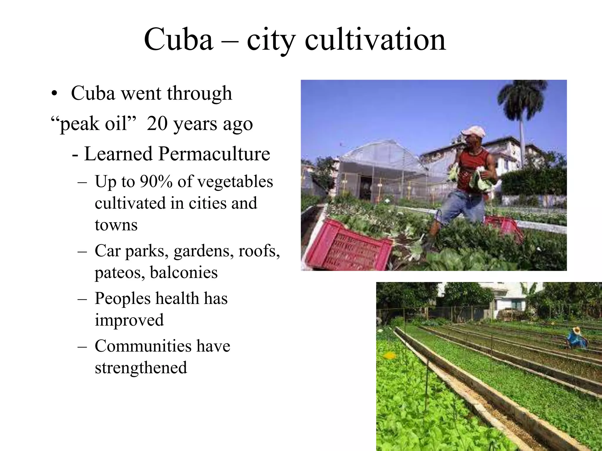 Cuba – city cultivation
• Cuba went through
“peak oil” 20 years ago
  - Learned Permaculture
  – Up to 90% of vegetables
    cultivated in cities and
    towns
  – Car parks, gardens, roofs,
    pateos, balconies
  – Peoples health has
    improved
  – Communities have
    strengthened
 