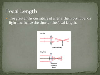  The greater the curvature of a lens, the more it bends
 light and hence the shorter the focal length.
 
