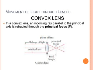 MOVEMENT OF LIGHT THROUGH LENSES
                       CONVEX LENS
   In a convex lens, an incoming ray parallel to the principal
    axis is refracted through the principal focus (F).
 