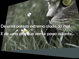 De uma pureza extrema alada ao mal E de uma paz que vem e passa adiante… 