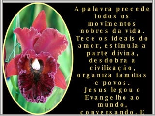 A palavra precede todos os movimentos nobres da vida. Tece os ideais do amor, estimula a parte divina, desdobra a civilização, organiza famílias e povos. Jesus legou o Evangelho ao mundo, conversando. E quantos atingem mais elevado plano de manifestação, prezam a palavra amorosa e esclarecedora. 