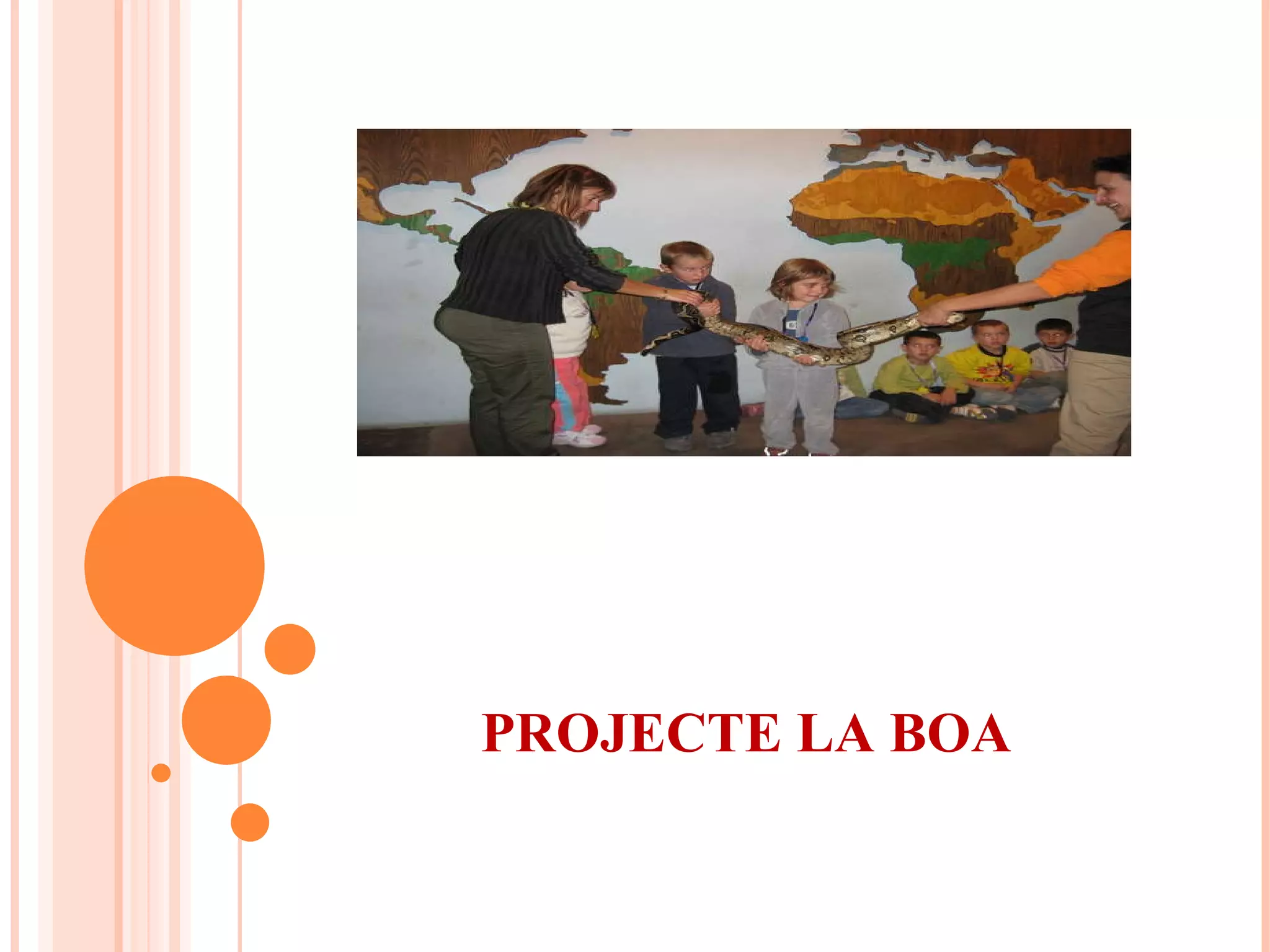 PROJECTE LA BOA 