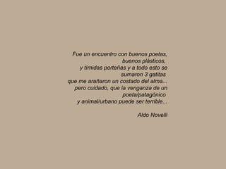 Fue un encuentro con buenos poetas, buenos plásticos,  y tímidas porteñas y a todo esto se sumaron 3 gatitas  que me arañaron un costado del alma... pero cuidado, que la venganza de un poeta/patagónico  y animal/urbano puede ser terrible... Aldo Novelli 