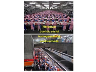 hierarquia
controlo social
homogeneidade
 conformidade
 