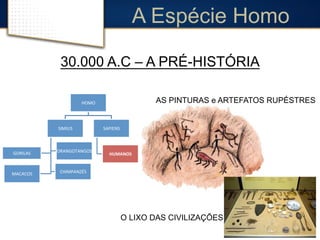 A Espécie Homo 
30.000 A.C – A PRÉ-HISTÓRIA 
HOMO 
SIMIUS 
GORILAS 
ORANGOTANGOS 
MACACOS 
CHIMPANZÉS 
SAPIENS 
HUMANOS 
AS PINTURAS e ARTEFATOS RUPÉSTRES 
O LIXO DAS CIVILIZAÇÕES 
 