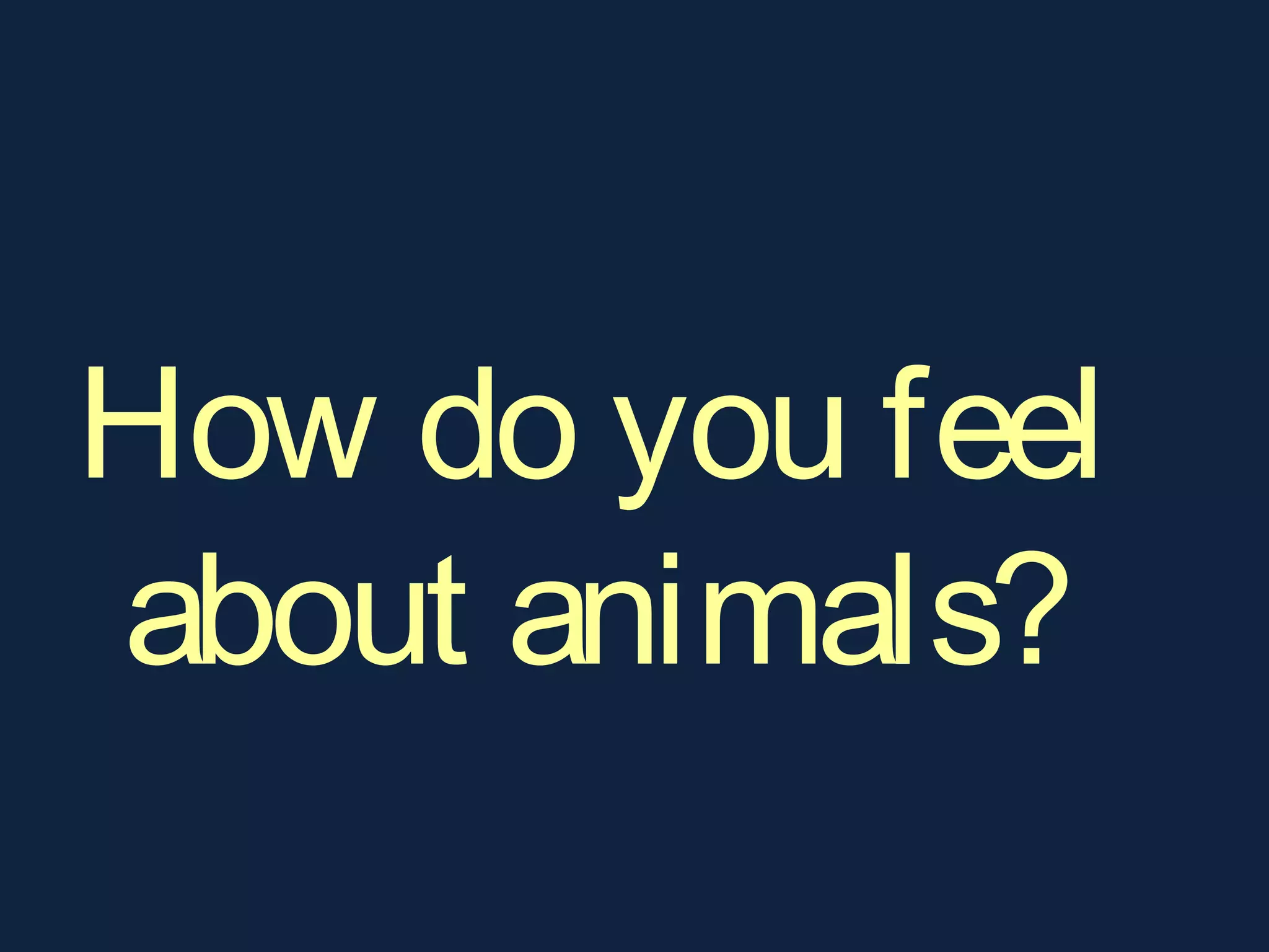 How do you feel
about animals?
 