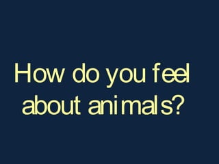 How do you feel
about animals?
 
