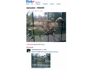 file:///tmp/Uploaded%20-%2016_02_09%20on%20Flickr%20-%20Photo%20Sharing!-1.jpg




Rencontre Web 2.0 <> musées - 16 oct. 2009                                                                      Samuel Bausson – Muséum de Toulouse
 