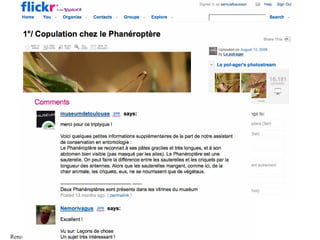 Rencontre Web 2.0 <> musées - 16 oct. 2009   Samuel Bausson – Muséum de Toulouse
 