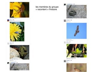 les membres du groupe
                                             « racontent » l'histoire




Rencontre Web 2.0 <> musées - 16 oct. 2009       Samuel Bausson – Muséum de Toulouse
 