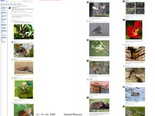 file:///tmp/Flickr_%20Discussing%20Se%20nourrir%20_%20une%20des%205%20grandes%20fonctions%20du%20Vivant%20in%20Collectionner%20le%20Vivant%20autrement-1-1.jpg




Rencontre Web 2.0 <> musées - 16 oct. 2009                                                                                                                                                   Samuel Bausson – Muséum de Toulouse
 