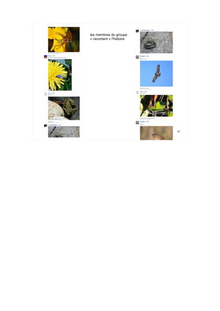 les membres du groupe
                                             « racontent » l'histoire




                                                                                       42

Rencontre Web 2.0 <> musées - 16 oct. 2009       Samuel Bausson – Muséum de Toulouse
 