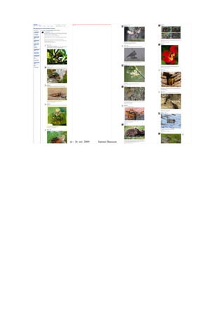 file:///tmp/Flickr_%20Discussing%20Se%20nourrir%20_%20une%20des%205%20grandes%20fonctions%20du%20Vivant%20in%20Collectionner%20le%20Vivant%20autrem
                            ent-1-1.jpg




                                                                                                                                                                                  44

Rencontre Web 2.0 <> musées - 16 oct. 2009                                                                                  Samuel Bausson – Muséum de Toulouse
 