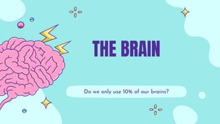 THE BRAIN
Do we only use 10% of our brains?
 