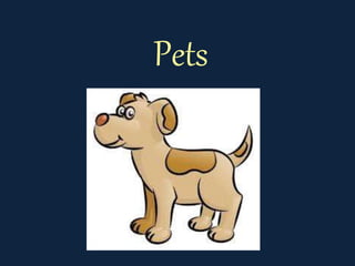 Pets
 