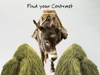 Find your Contrast
 